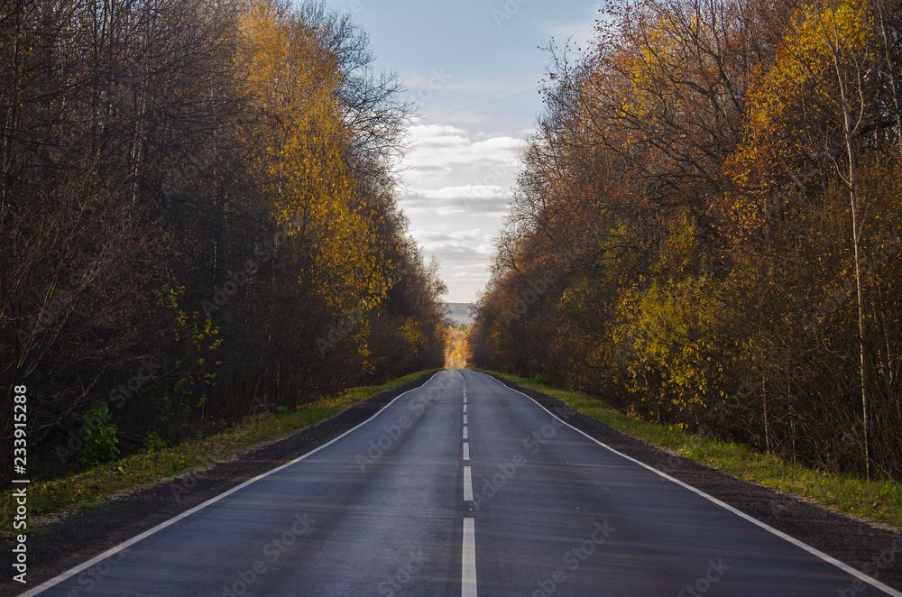 Autumn landscape: an asphalt straight road stretching into the distance. On the sides of the forest.