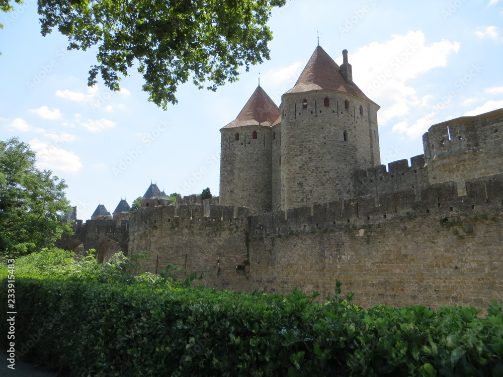 Fototapeta premium castle on the hill