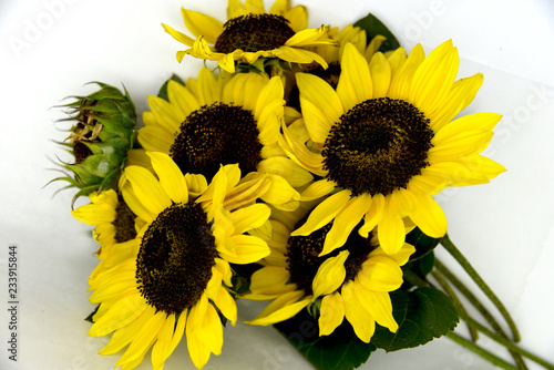 Fototapeta Naklejka Na Ścianę i Meble -  bright bouquet of sunflowers on white background