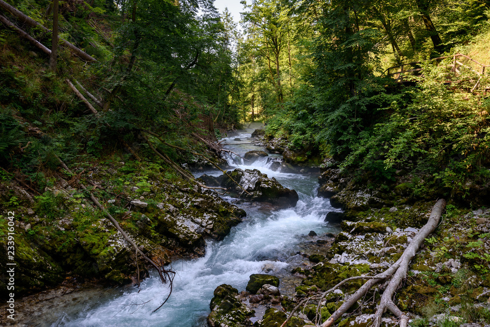 The Vintgar Gorge in Slovenia. Famous canyon with river Radovna, waterfalls and wooden bridges pathway. Touristic landmark of Slovenia. The Vintgar Gorge in Slovenia. Famous canyon with river Radovna, waterfalls and wooden bridges pathway. Touristic landmark of Slovenia.
