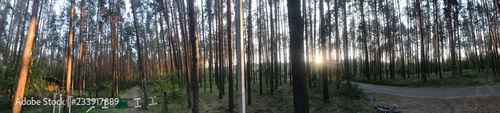 reflection of trees in water © BurenokNikolay