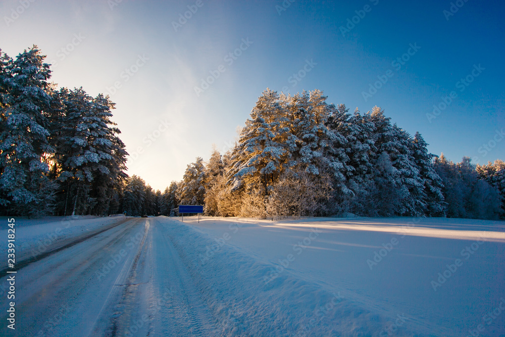 Winter road in snowy forest. Cold weather landscape