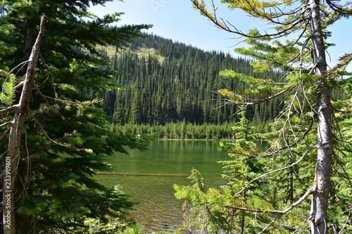 A birds eye view of Coeur d Alene River