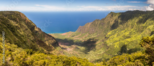 Auf dem Kalepa Ridge Trail, Kauai, Hawaii photo