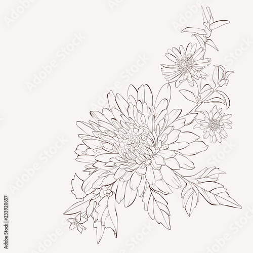 Slika na platnu Vector dahlia flower