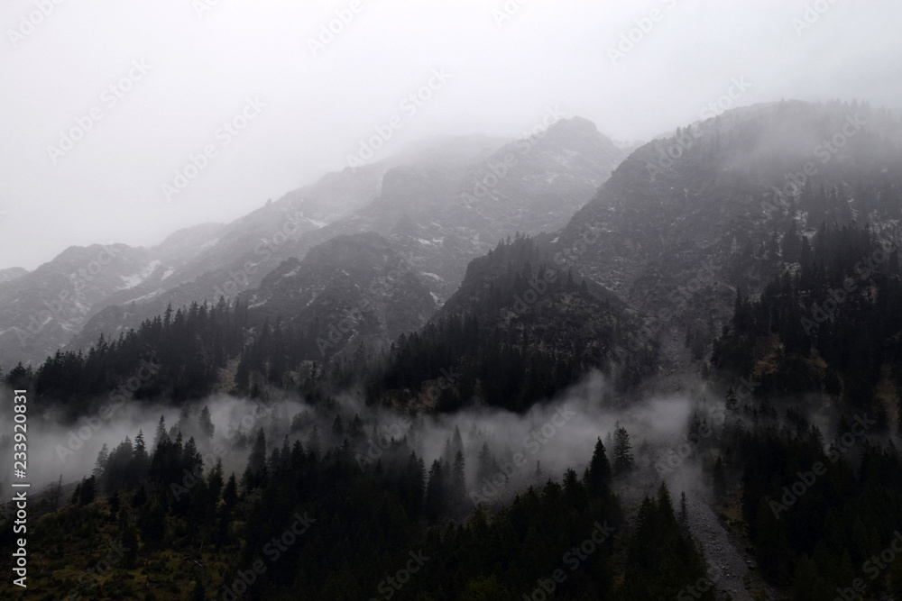 Obraz premium fog in the mountains on morning, at German Alp Mountains