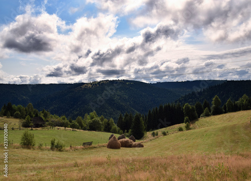 Rural landscape at Carpathian Mountains, peaceful nature at summer