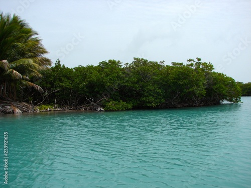 tropical island in belize © Shane