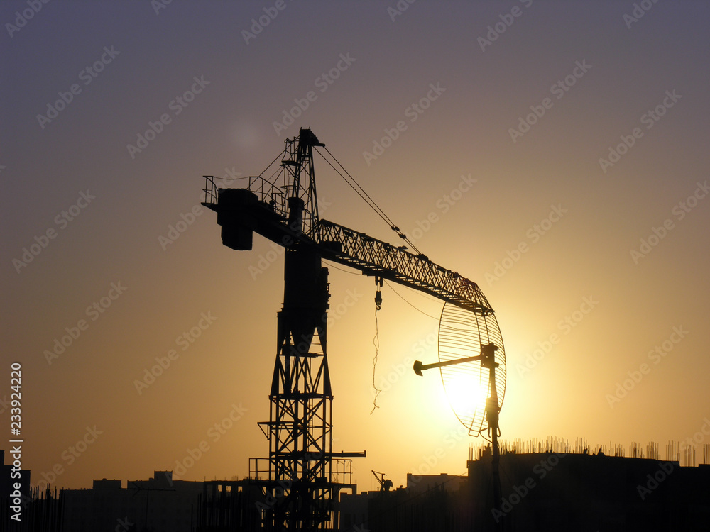 silhouette of cranes at sunset
