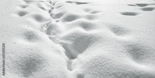 Beautiful pure white snow on the ground outdoor. Traces and footsteps, natural texture pattern. Snowy weather condition. Winter concept.