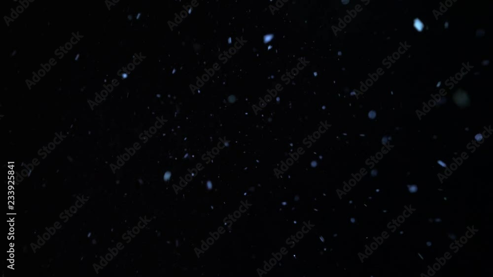 Snow flickers, is turned on wind. Large snowflakes against the background of the black sky. Snow flickers, is turned on wind. Large snowflakes against the background of the black sky.