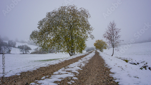 Wallpaper Mural Der erste Schnee im Herbst Torontodigital.ca