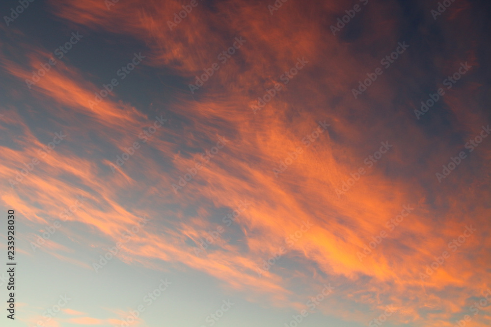 Beautiful red cirrus clouds at sunset. Background. Landscape.