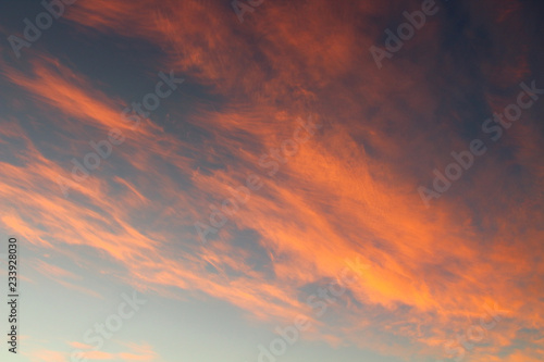 Beautiful red cirrus clouds at sunset. Background. Landscape. © far700