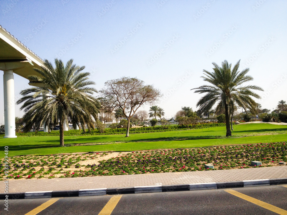 Fototapeta premium Dubai