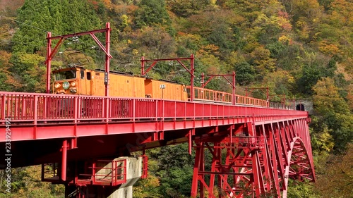 秋の黒部峡谷鉄道のトロッコ電車　日本の富山県黒部市宇奈月温泉