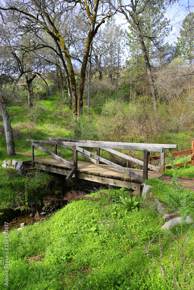 old wooden bridge in the oak woodlands