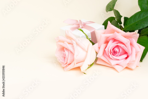 Two pink blooming roses with gift box and copy space