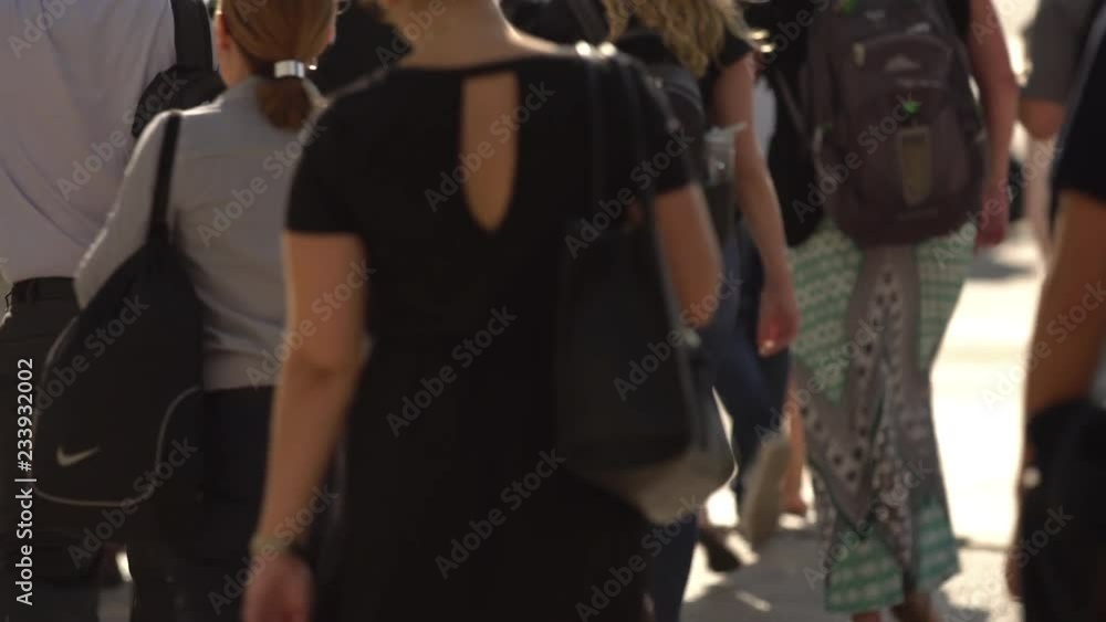 Back of crowd people crossing the street in Chicago, going to work with his-her bag or backpack in a sunny summer morning Back of crowd people crossing the street in Chicago, going to work with his-her bag or backpack in a sunny summer morning