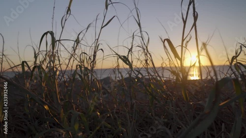 Sun flaring through the sea oats while panning them at sunrise at Fort Fisher near Kure Beach North Carolina