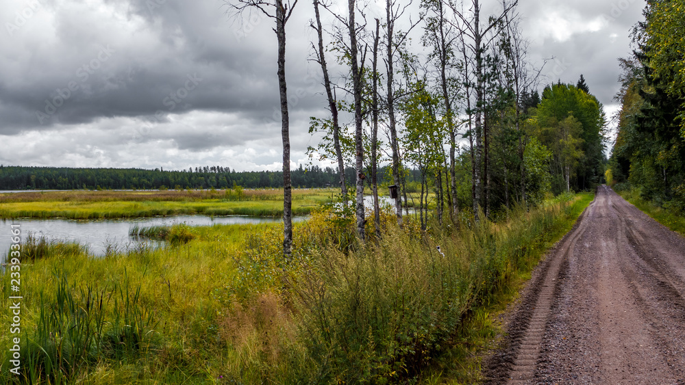Swamp and a forest road in Finland Swamp and a forest road in Finland