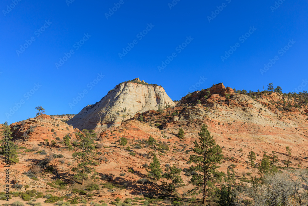 Scenic Zion National Park Landscape