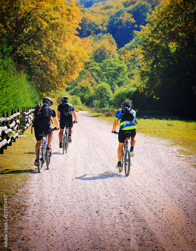 Cycling, mountain biker on cycle trail in autumn forest.
