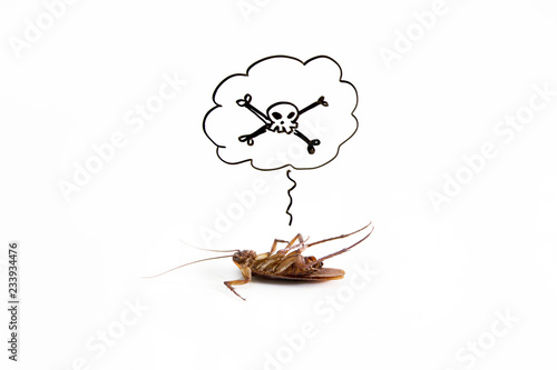 Dead cockroach on floor with drawing of dead sign