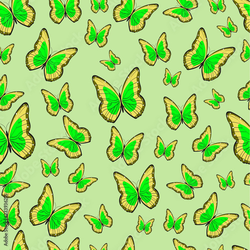 Vector butterfly pattern. Abstract seamless pattern. © Irina