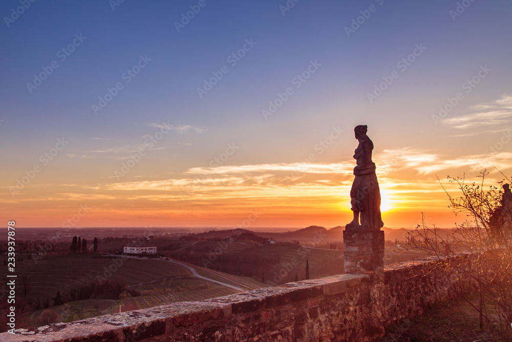 Fototapeta premium Sunset in the vineyards of Rosazzo