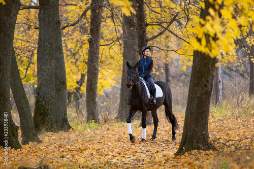Fotografie Teenage girl riding horse in autumn park