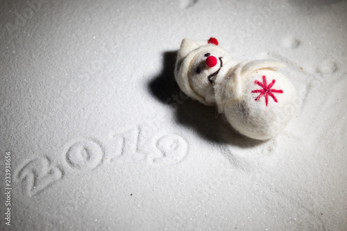 Wallpaper Mural 2019 written on the snow. Happy new 2019 year. Empty space for your text Torontodigital.ca