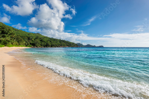 Fototapeta Naklejka Na Ścianę i Meble -  Caribbean beach and tropical island. Summer vacation and tropical beach concept.  