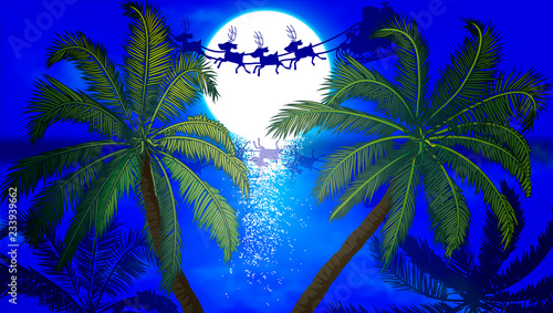 Santa Claus flying on the background of palm trees and the moon
