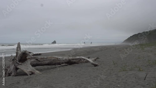 Redwood National Park Shoreline photo