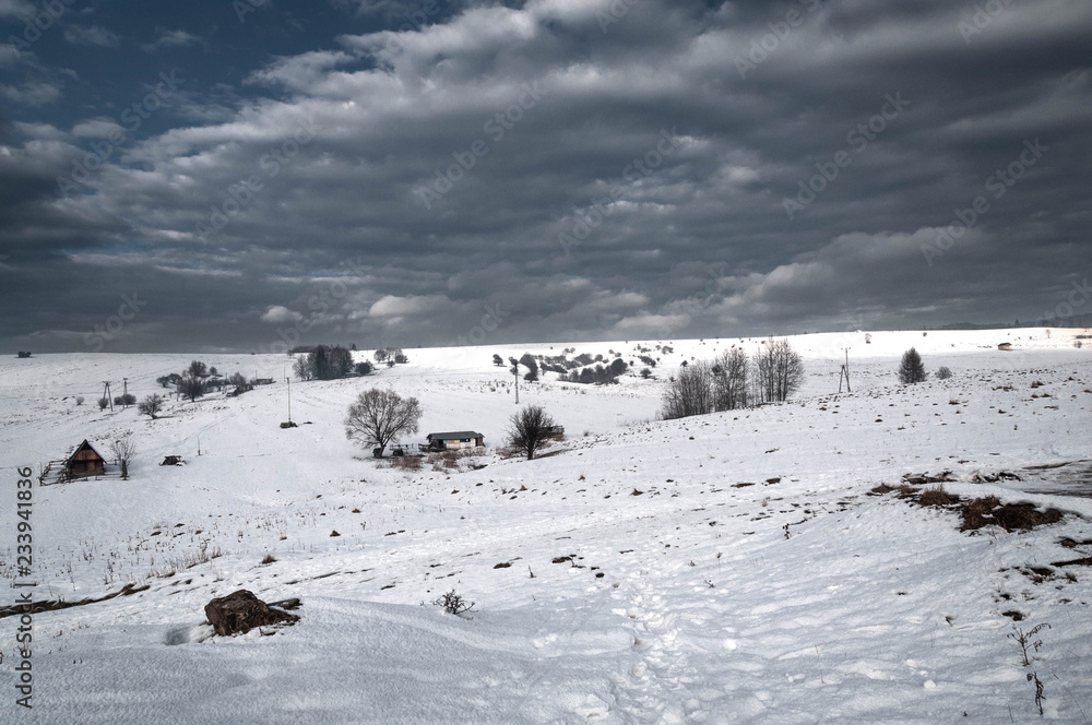 Winter landscape