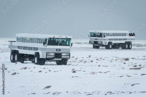 Tundra buggies at Churchill, Canada
