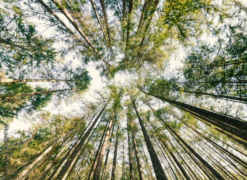 Stunning landscapes and night-caps of the Pacific North West's jewel in Bowen Island in the heart of Howe Sound and off the coast of Vancouver British Columbia Canada.  Fine art photography.