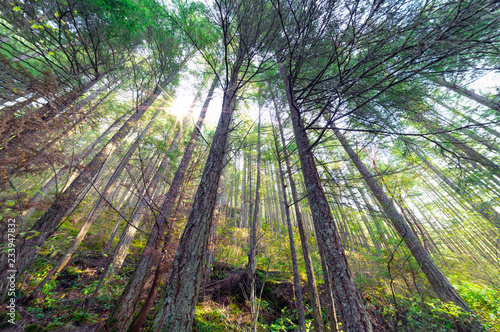 Stunning landscapes and night-caps of the Pacific North West's jewel in Bowen Island in the heart of Howe Sound and off the coast of Vancouver British Columbia Canada. Fine art photography.