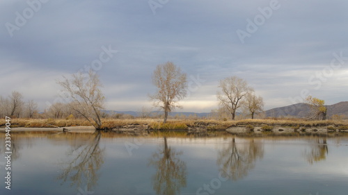 landscape with lake and trees