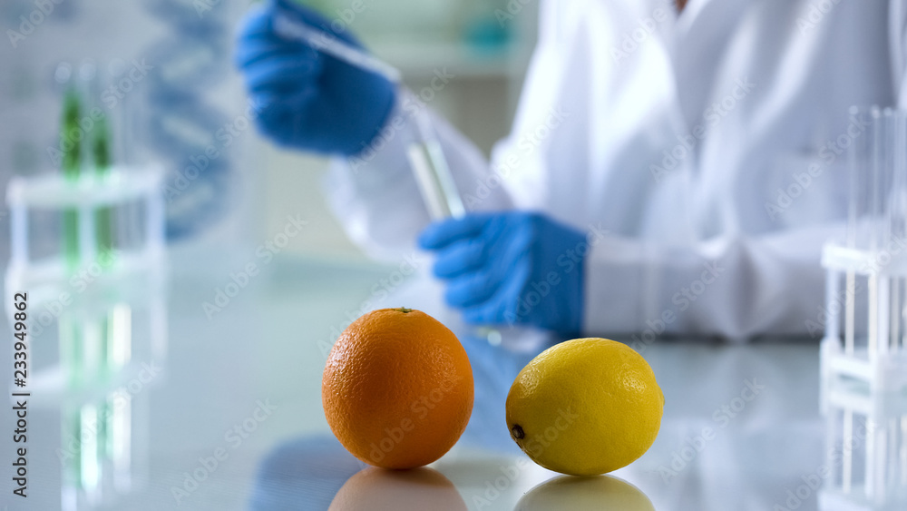 Citrus fruits on lab table, scientist extracting essence for perfume production Citrus fruits on lab table, scientist extracting essence for perfume production