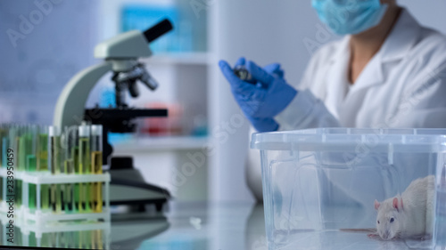 Female biologist preparing to test medicine on lab animal, vaccine development
