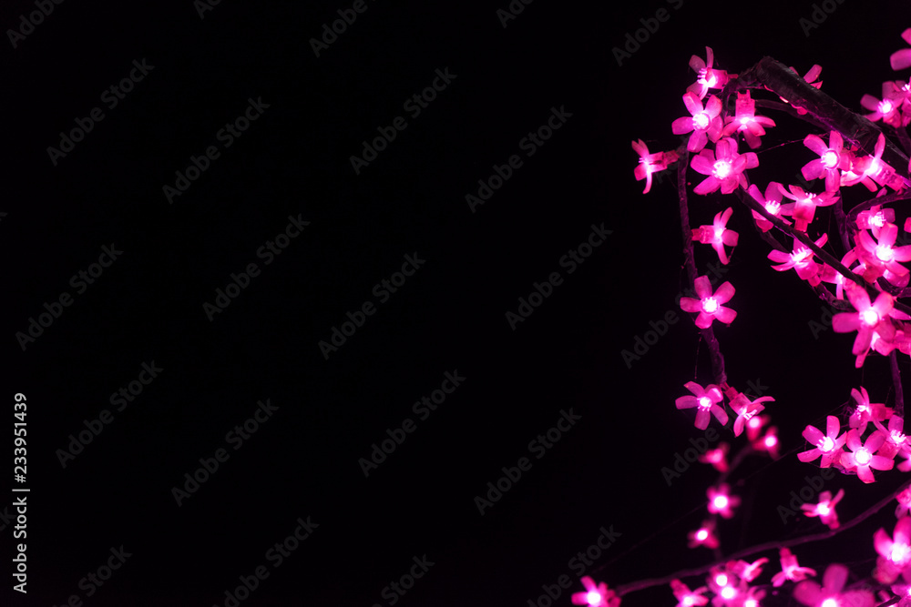 Light flowers on the black background with space for your text