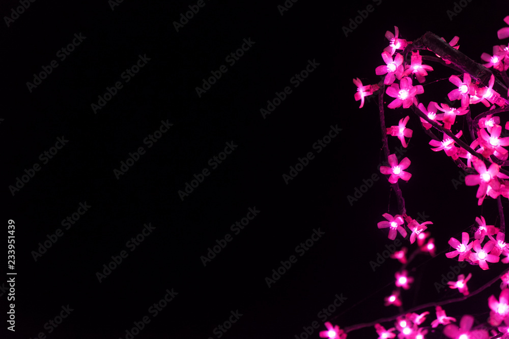 Light flowers on the black background with space for your text Light flowers on the black background with space for your text