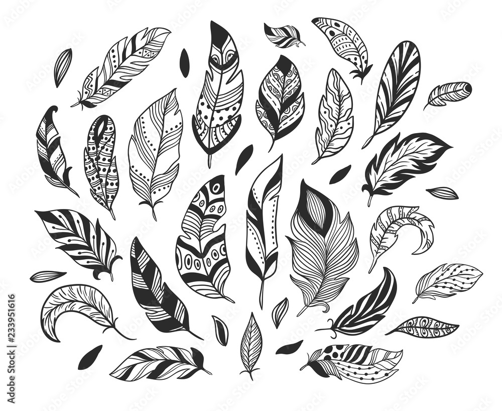 Fototapeta premium Hand drawn feathers. Sketch bird feather, retro artistic drawing ink pen and birds feathering vector isolated illustration set