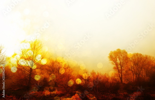 black branch of forest changing autumn to winter in white round bokeh orange yellow suset sky nature background