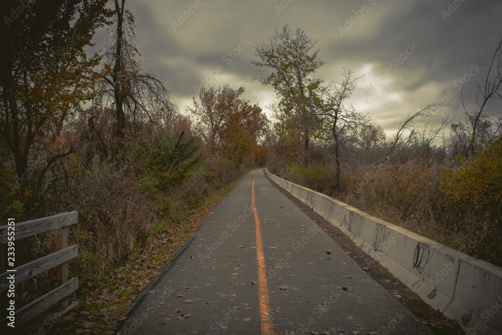 Fototapeta premium camino viejo