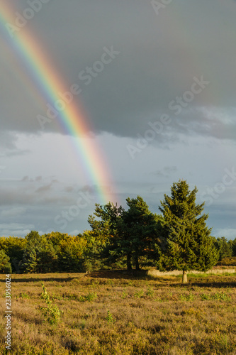 Regenbogen spannt sich über einer Heidelandschaft