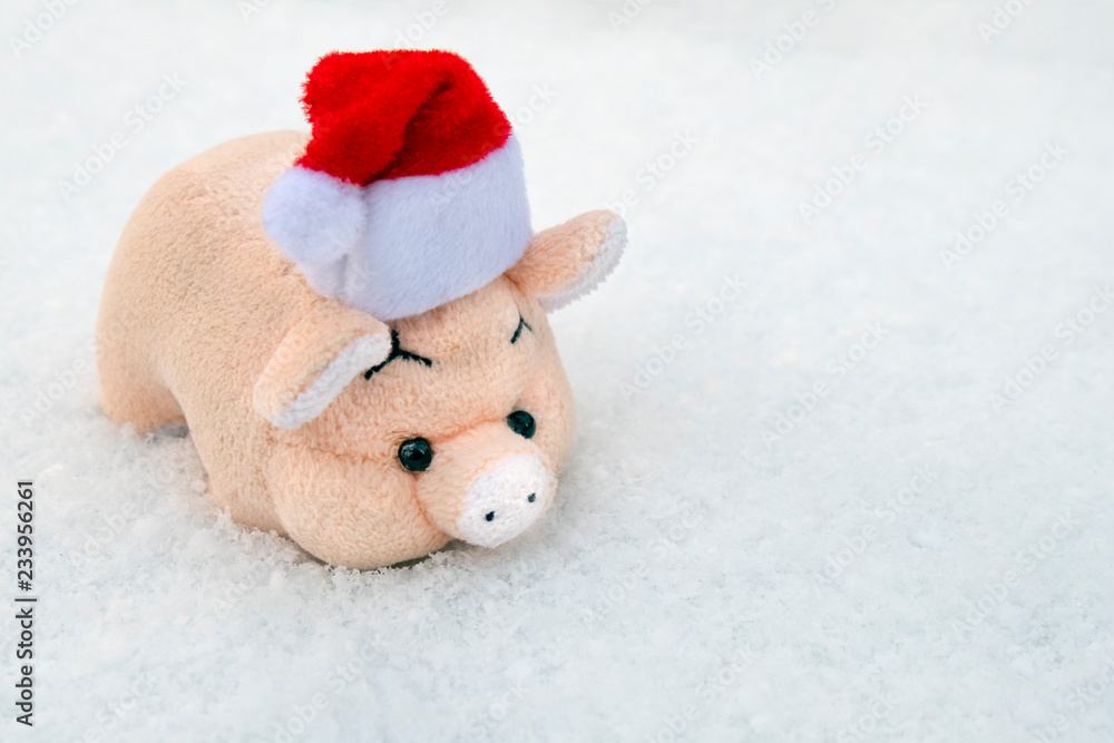 A soft toy pig in a red Santa Claus hat on white freshly fallen snow. Copy space. Symbol of the new year 2019.