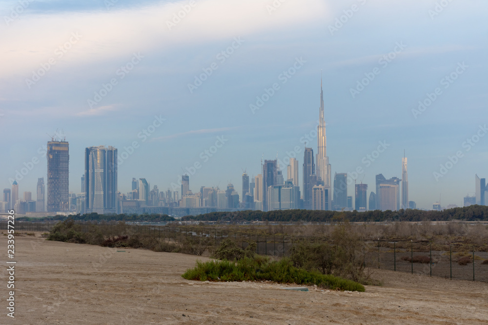 Dubai skyline in the early morning from Ras al Khor Wildlife Sanctuary. Dubai skyline in the early morning from Ras al Khor Wildlife Sanctuary.